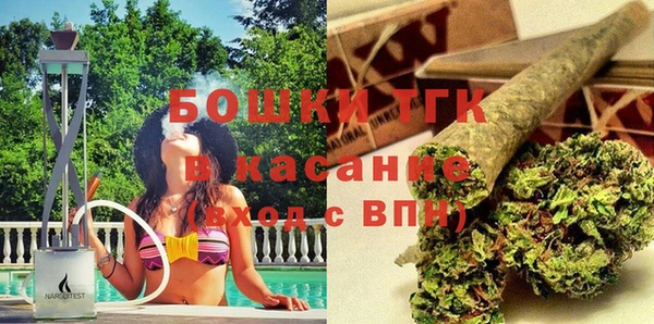эйфоретик Вяземский