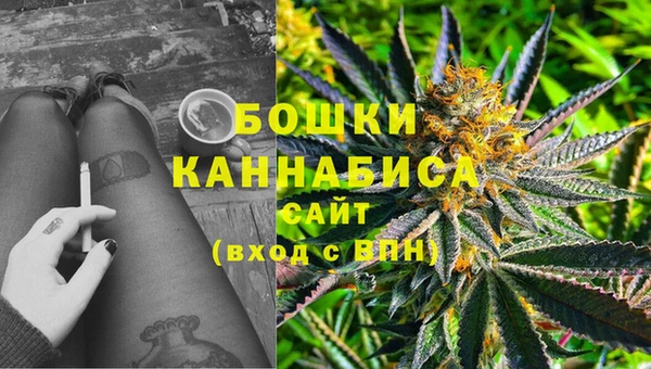 трава Вязьма