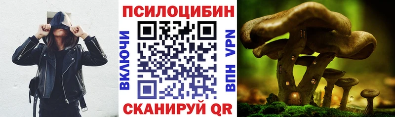 Псилоцибиновые грибы GOLDEN TEACHER Георгиевск