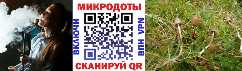 Псилоцибиновые грибы Cubensis  наркошоп  Георгиевск 