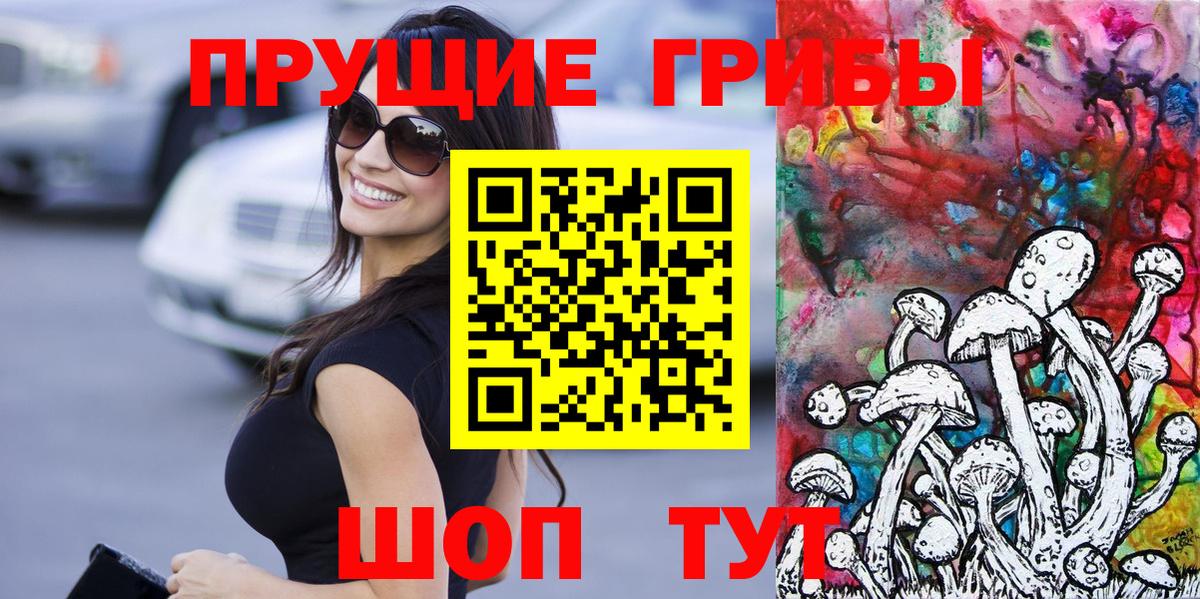 Георгиевск  Галлюциногенные грибы прущие грибы  Вход с VPN 